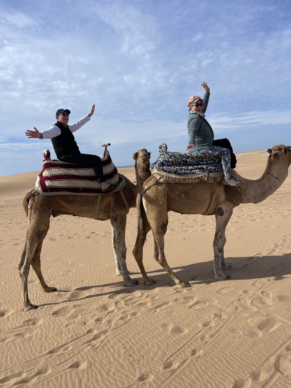 Balade à dos de dromadaire dans les dunes